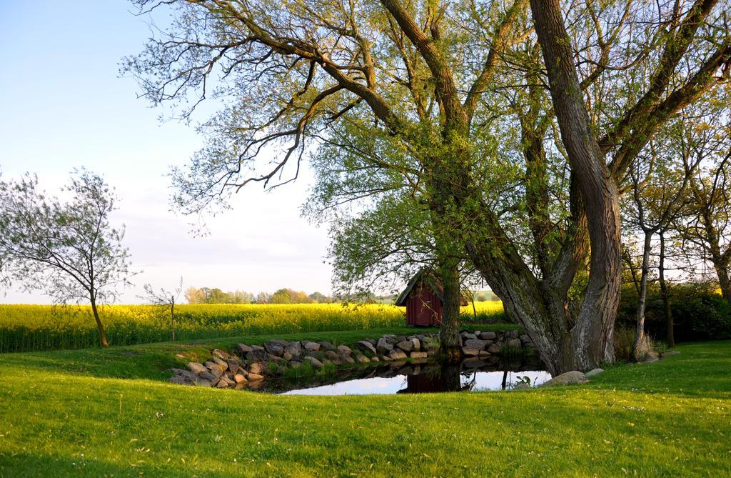 Nils Holgerssongarden Bed and Breakfast Skurup Buitenkant foto