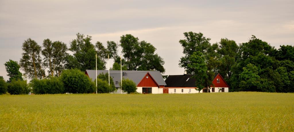 Nils Holgerssongarden Bed and Breakfast Skurup Buitenkant foto